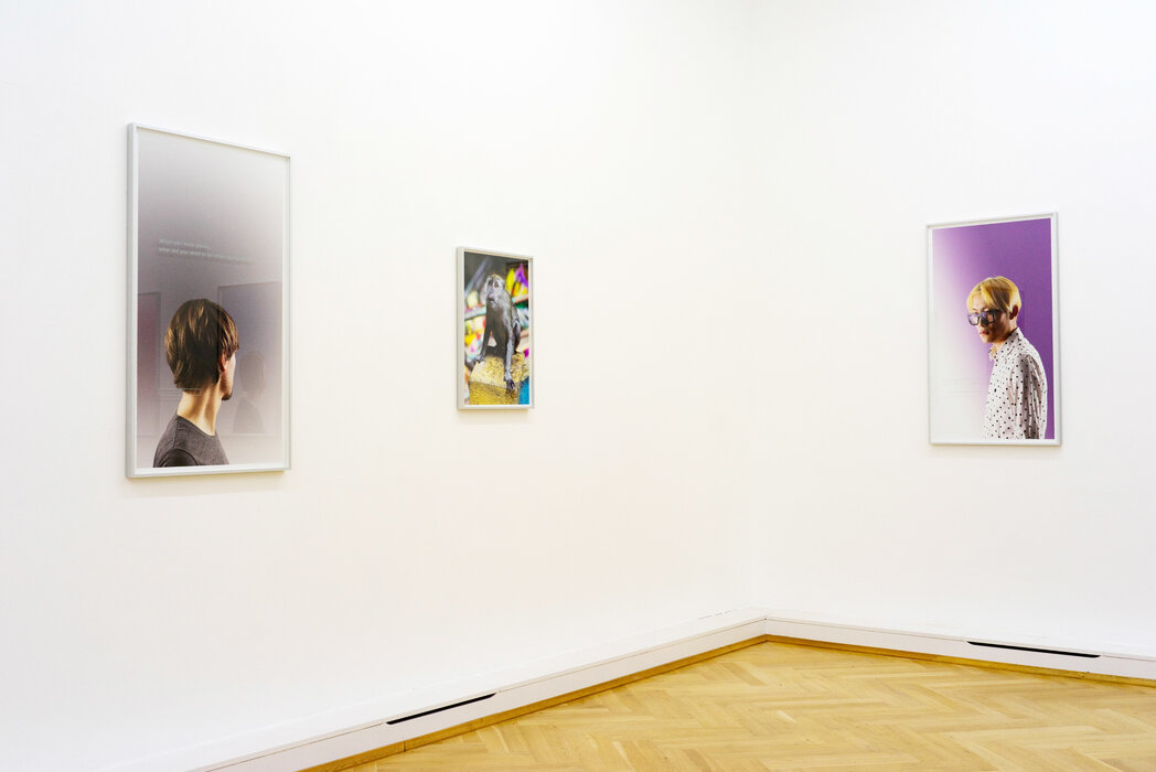 completely automated public turing test to tell computers and humans apart