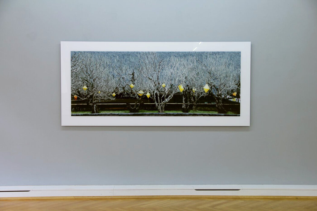 Winter, Keen Insight