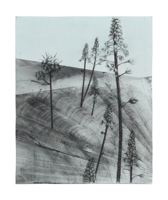 Gliding in Language Meadow (3)