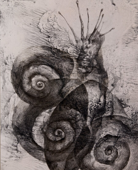 A Garden of Everywhere Voices 13