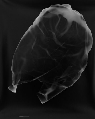 Hände (nach Adam Smith) 2