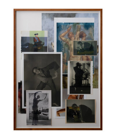 Die Pappel im Wind VI