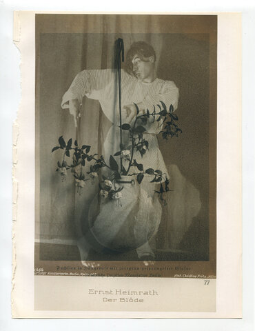 Die Pappel im Wind IIB