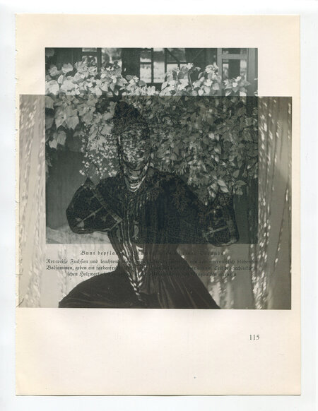 Die Pappel im Wind VB