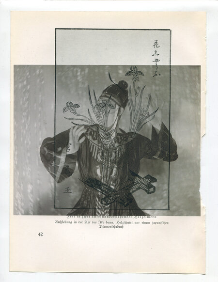 Die Pappel im Wind VIIIB