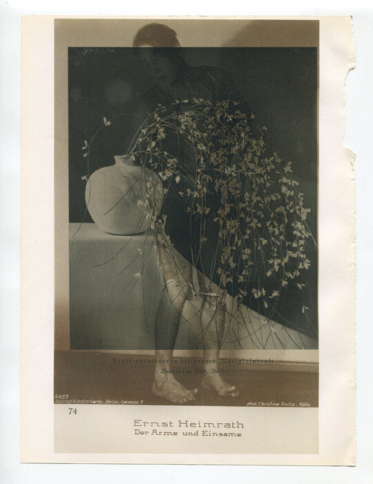 Die Pappel im Wind IXB