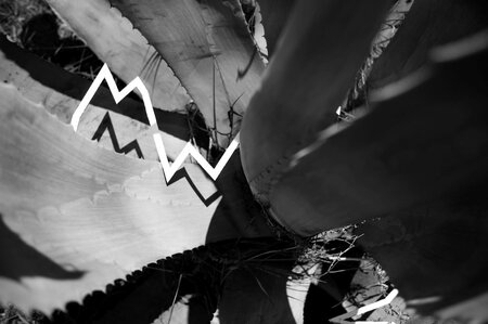 Friendly Environment