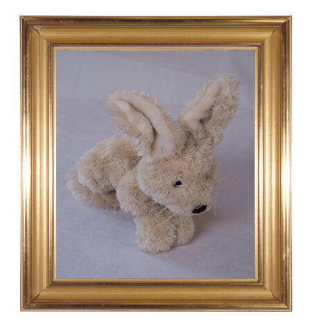 Der Feldhase – Albrecht Dürer