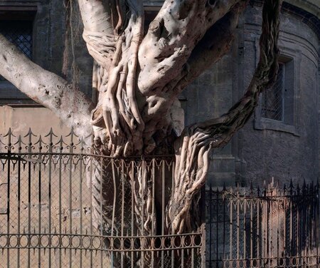 Ohne Titel (Laokoon)