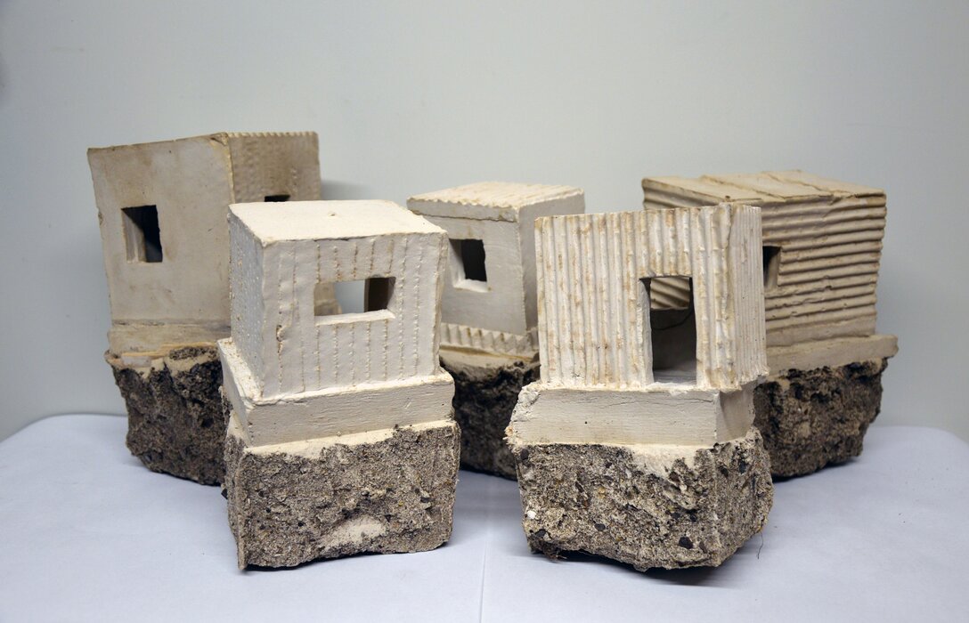 Cellar Shed Edition 4