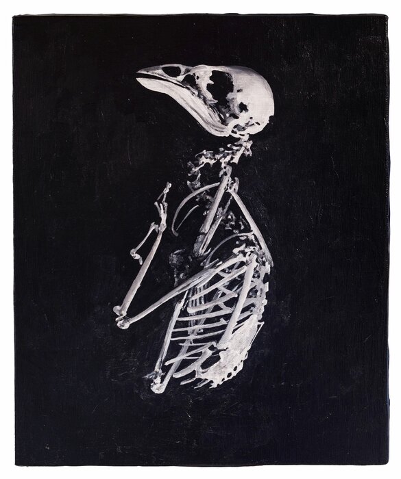 Detected Dictionary (Vogelskelett)