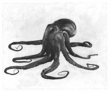 Detected Dictionary (Tintenfisch)