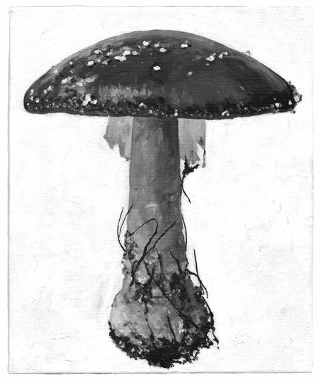 Detected Dictionary (Fliegenpilz)