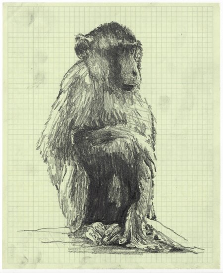 Untitled, 02.05.2011