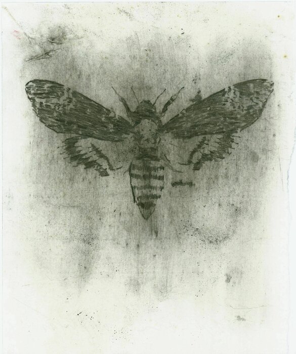 Untitled, 04.05.2011