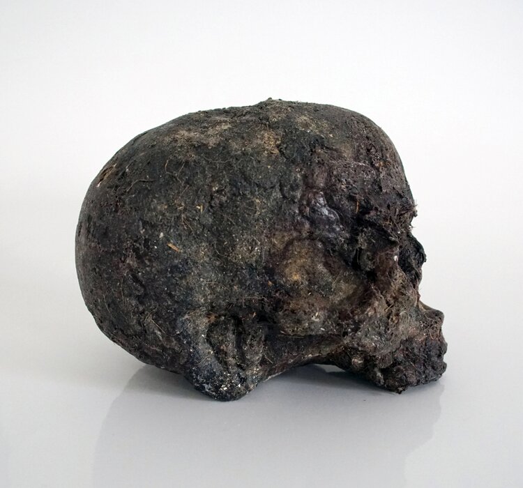 Homo Helveticus 1, 2022