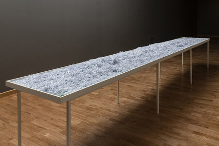 The Phenomenon of the Mind : Facing Yourself