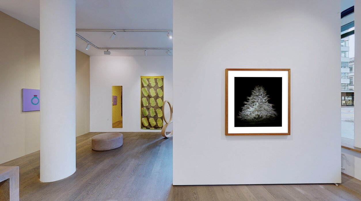 Galerie Andres Thalmann - Artists of the Gallery