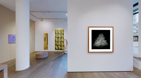 Galerie Andres Thalmann - Artists of the Gallery