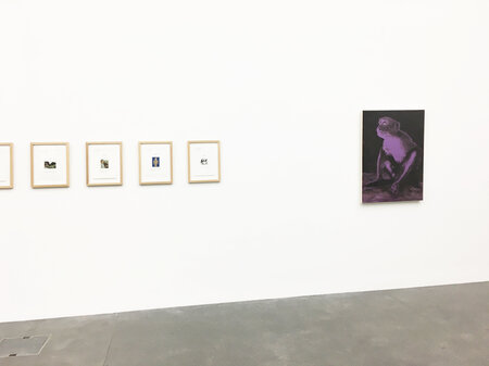 Karneval der Tiere – aus der Sammlung des Kunstmuseums