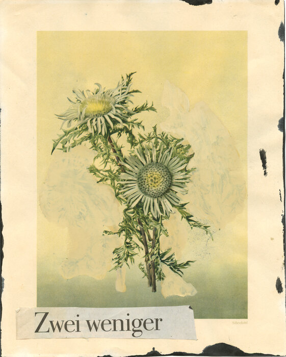 46/2021  „Zwei weniger“