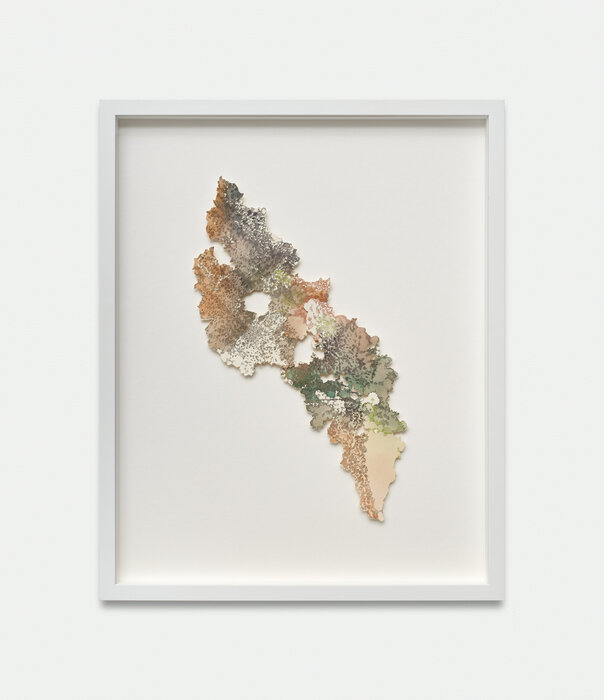 Rhizome Polychrome 2